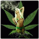 Logo de Kentucky Weed Radio