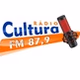 Rádio Cultura 87.9 logo