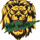 Logo de ViiLD SOCA