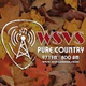 Logo de Pure Country - WSVS