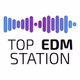 Logo de Top 100 Station - Top EDM Station