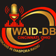 Logo de Africans in Diaspora Radio