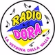 Radio Dora logo