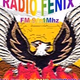 Logo de FM Fenix 91.1 Embarcacion