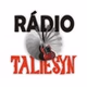 Radio Taliesyn logo