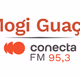 Logo de Rádio Conecta 95.3 FM
