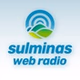 Sulminas Web Rádio logo