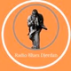 Logo de Radio Blues Djerdan