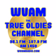98.1 and 107.9 WVAM - W251CP logo