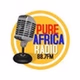 Pure Africa Radio logo
