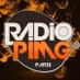 PIMG Radio logo