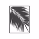 Palmera Blanca Radio logo