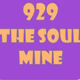 Logo de The Soul Mine - WYBO