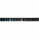 Logo de Rave Sound Webradio
