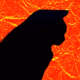 Logo de Void Radio