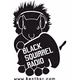 Logo de Black Squirrel Radio