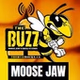 The Buzz Moose Jaw logo