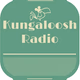 Logo de Kungaloosh Radio