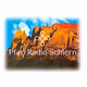 Logo de PfarrRadio Schlern