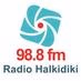 Radio Halkidiki 98.8 logo