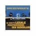 Delta Piraat logo