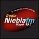 Radio Niebla FM 95.7 logo