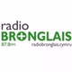 Radio Bronglais logo
