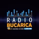 Radio Bucarica logo