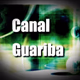 Logo de Rádio Web Omega