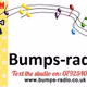 Logo de kingfisher-radio - Bumps