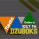 Radio Dzuboks logo
