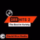 Logo de DRR HITS 2