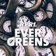 RPR1. - Evergreens logo