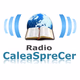 Logo de Radio Calea Spre Cer