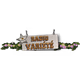 Logo de Radio Varit