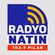 Radyo Natin Pilar - DWMP logo