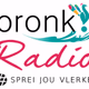 Logo de Pronk Radio