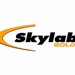 Radio Skylab - Skylab Gold logo