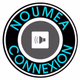 Logo de Nouméa-Connexion