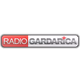 Logo de Радио Гардарика
