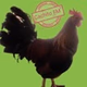 Cachito Fm logo