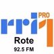 Logo de RRI - Pro1 Rote