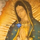 Maria Vision - Carlo Acutis logo