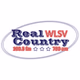 Real Country 100.3 FM & 790AM - WLSV logo