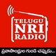 Telugu NRI Radio logo