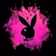 Logo de Paradise_Music
