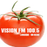 Visión FM logo