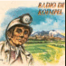 Radio de Koempel logo