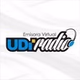 UDI Radio logo