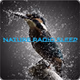 Nature Radio Sleep logo